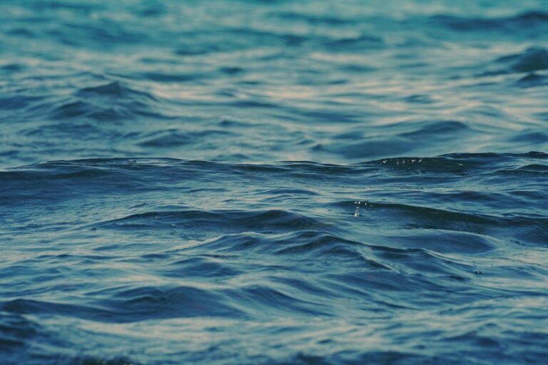 water-6901805_1280
